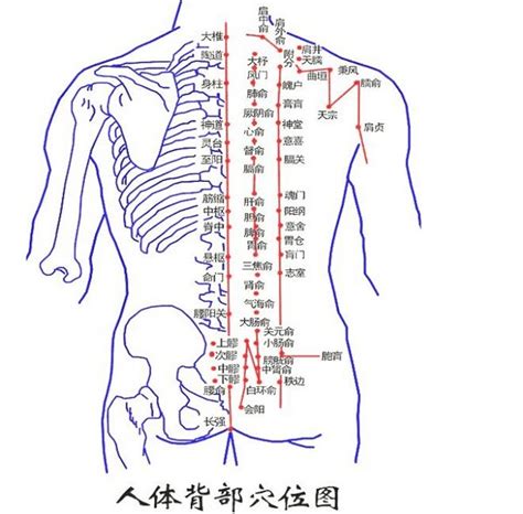 女人背后有痣|背部有痣图解大全 背部有痣的人看命运